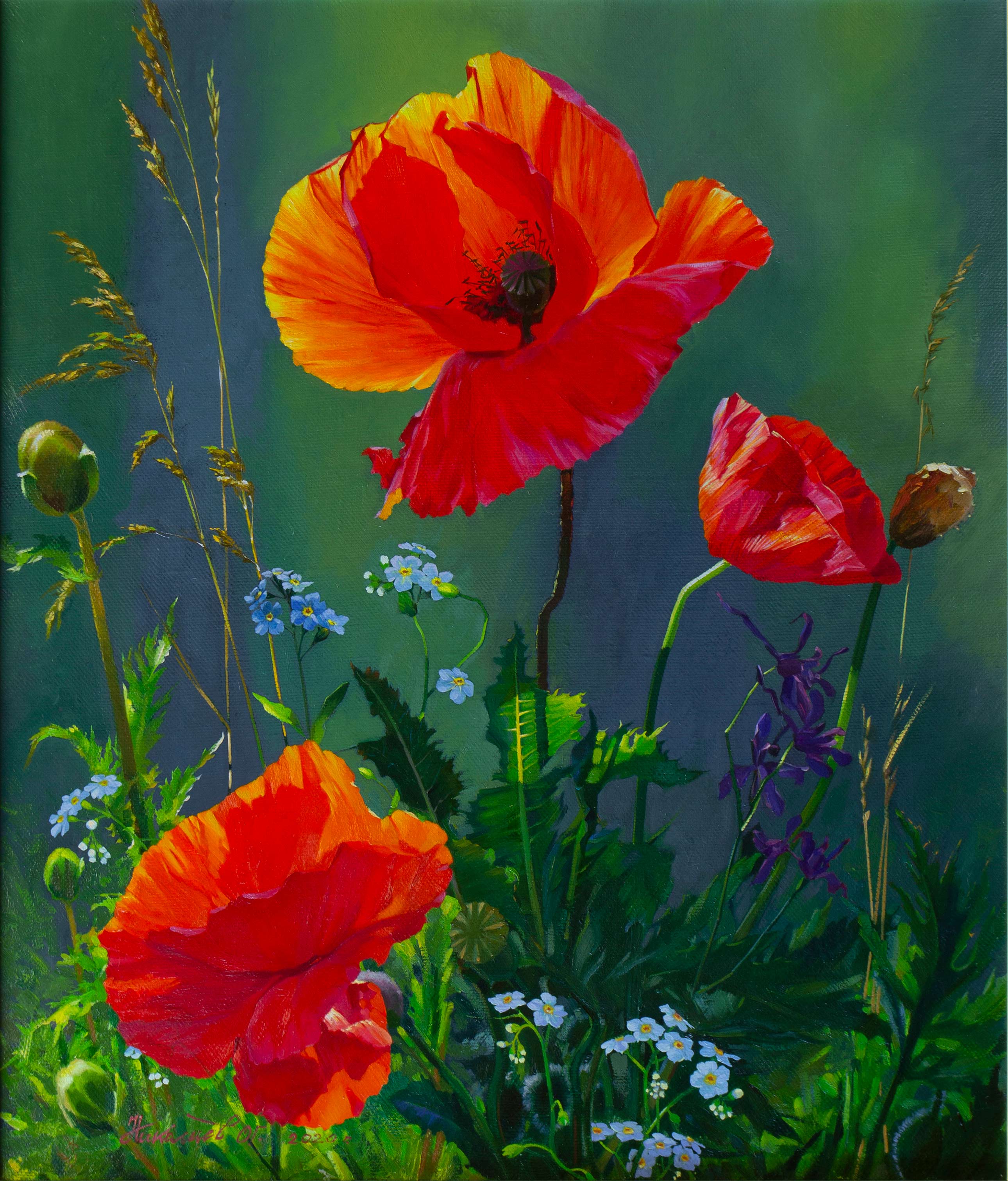 Summer. Poppies - 1,  Oleg Nikolaev, Buy the painting Oil