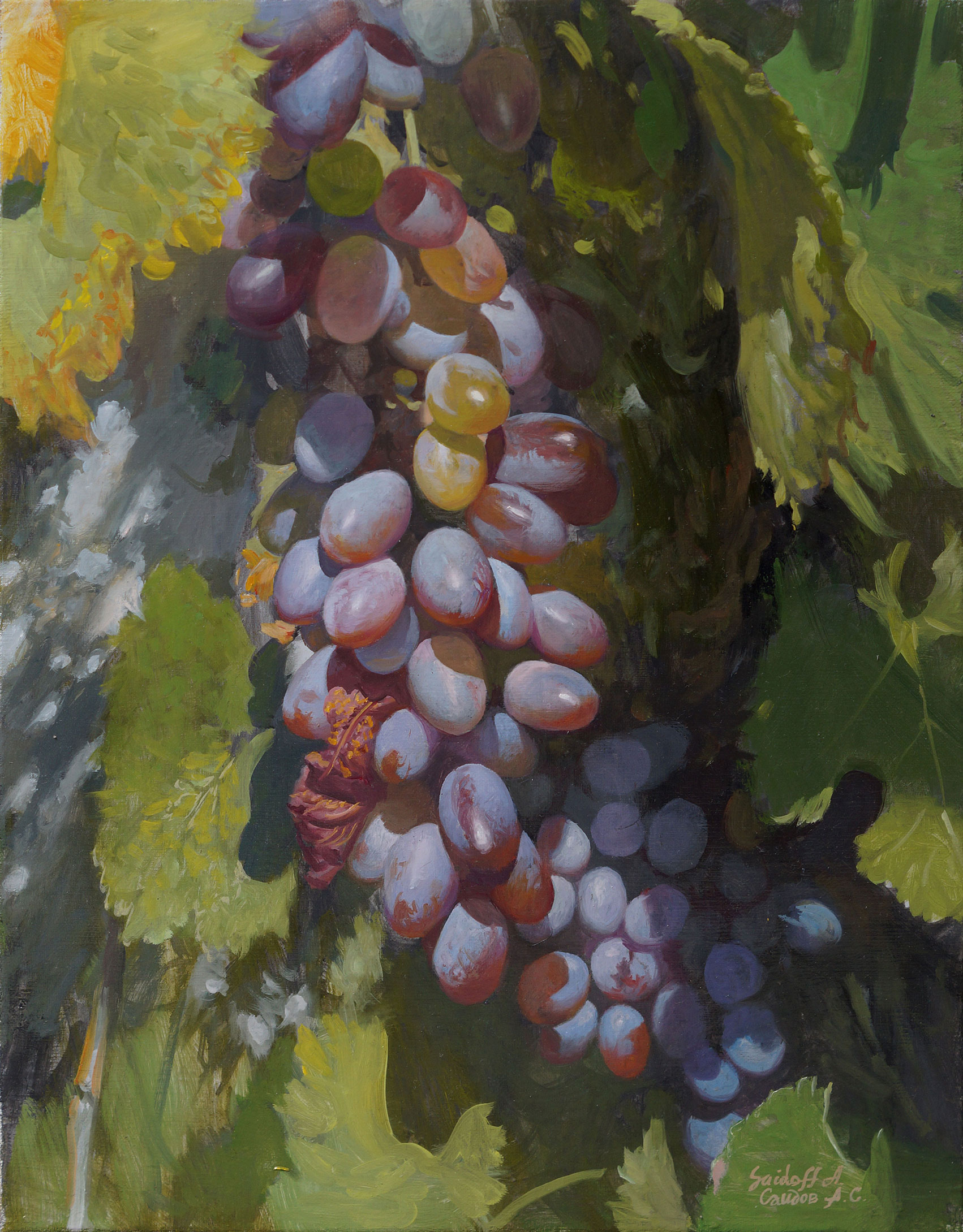 Blue Grapes on the Sun - 1, Alexander Saidov, Buy the painting Oil