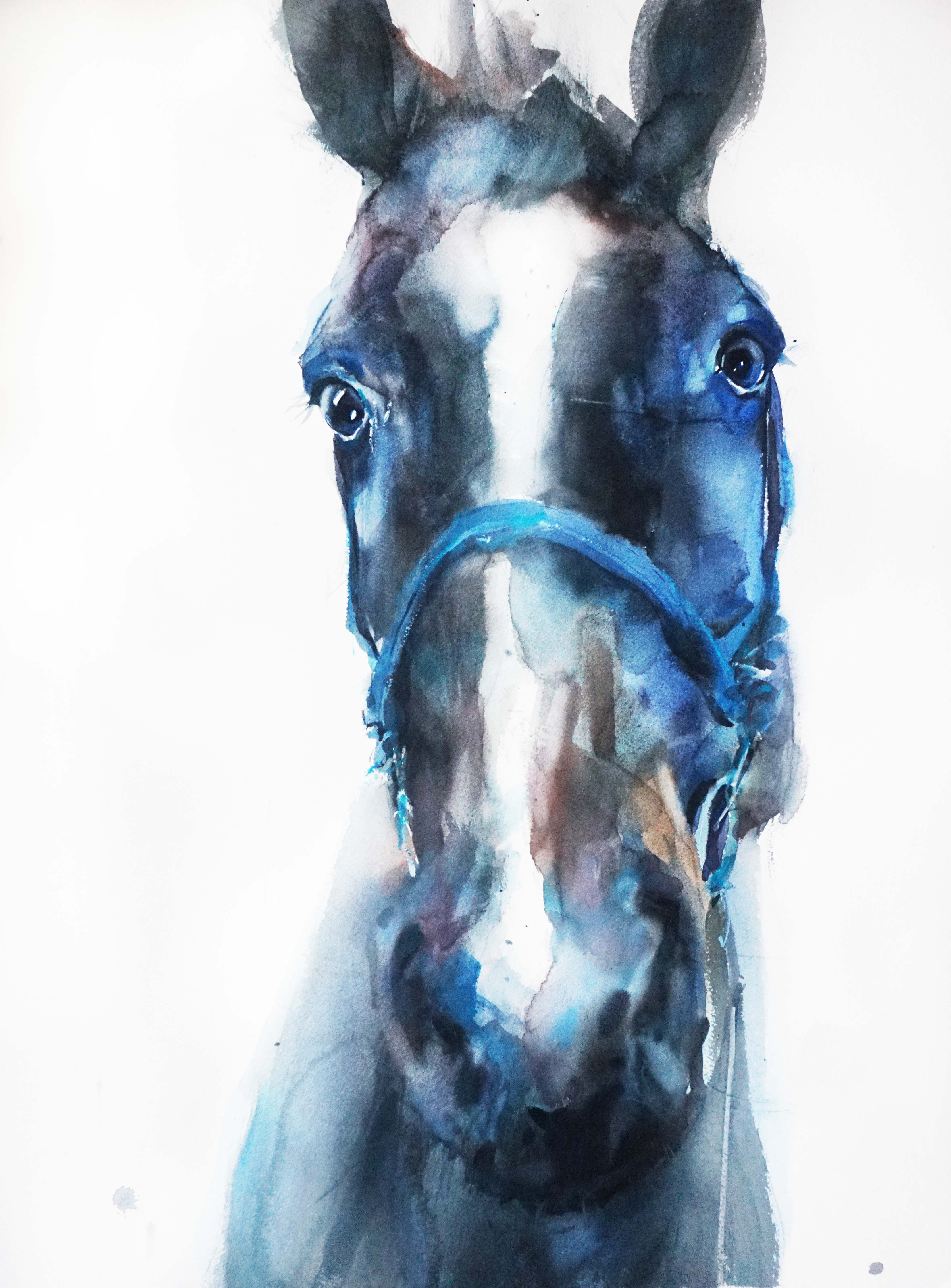 The Blue Horse - 1, Olga Peshkova, Buy the painting Watercolor