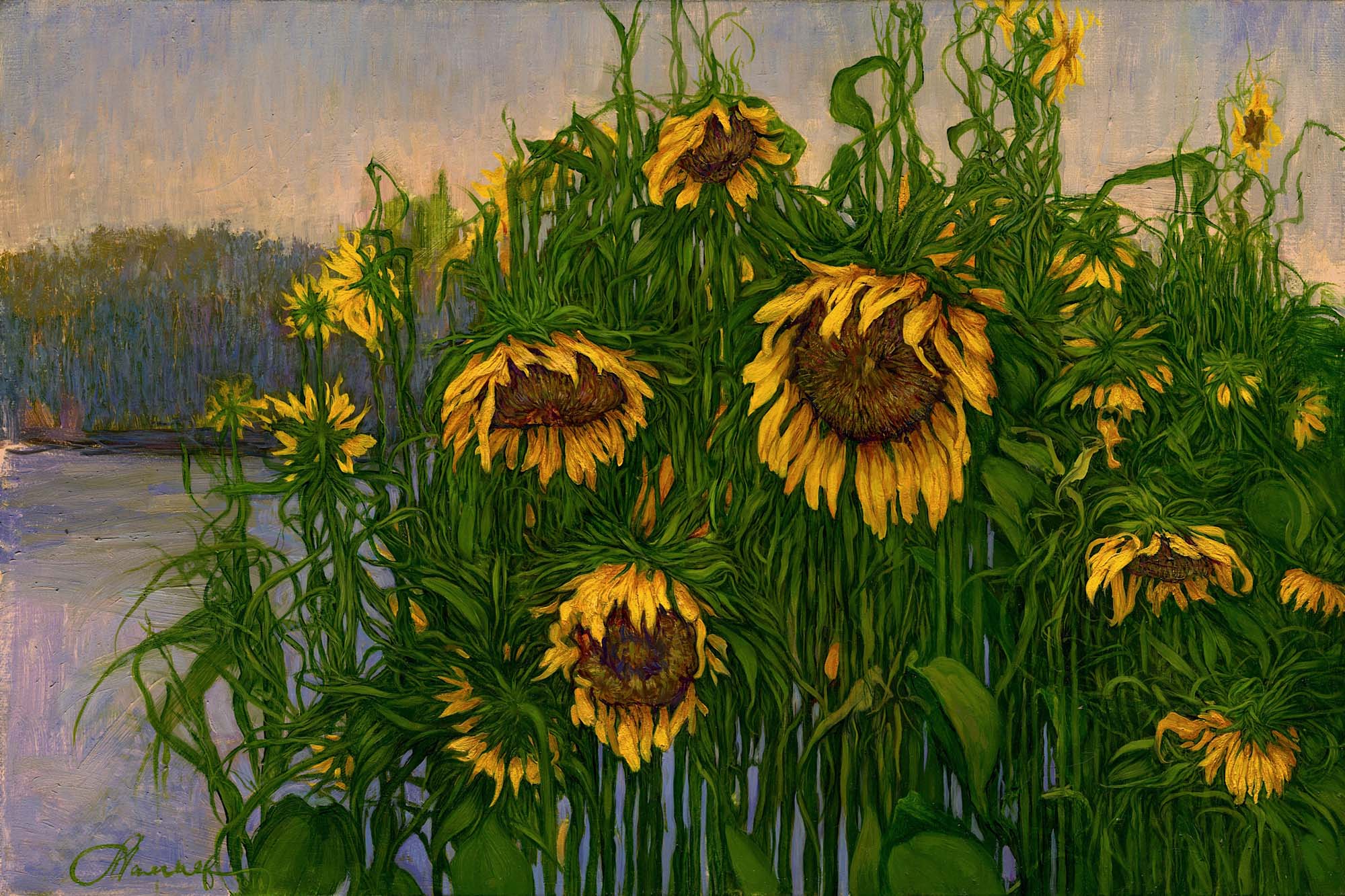 Sunflowers - 1, Andrey Mamaev, Buy the painting Oil