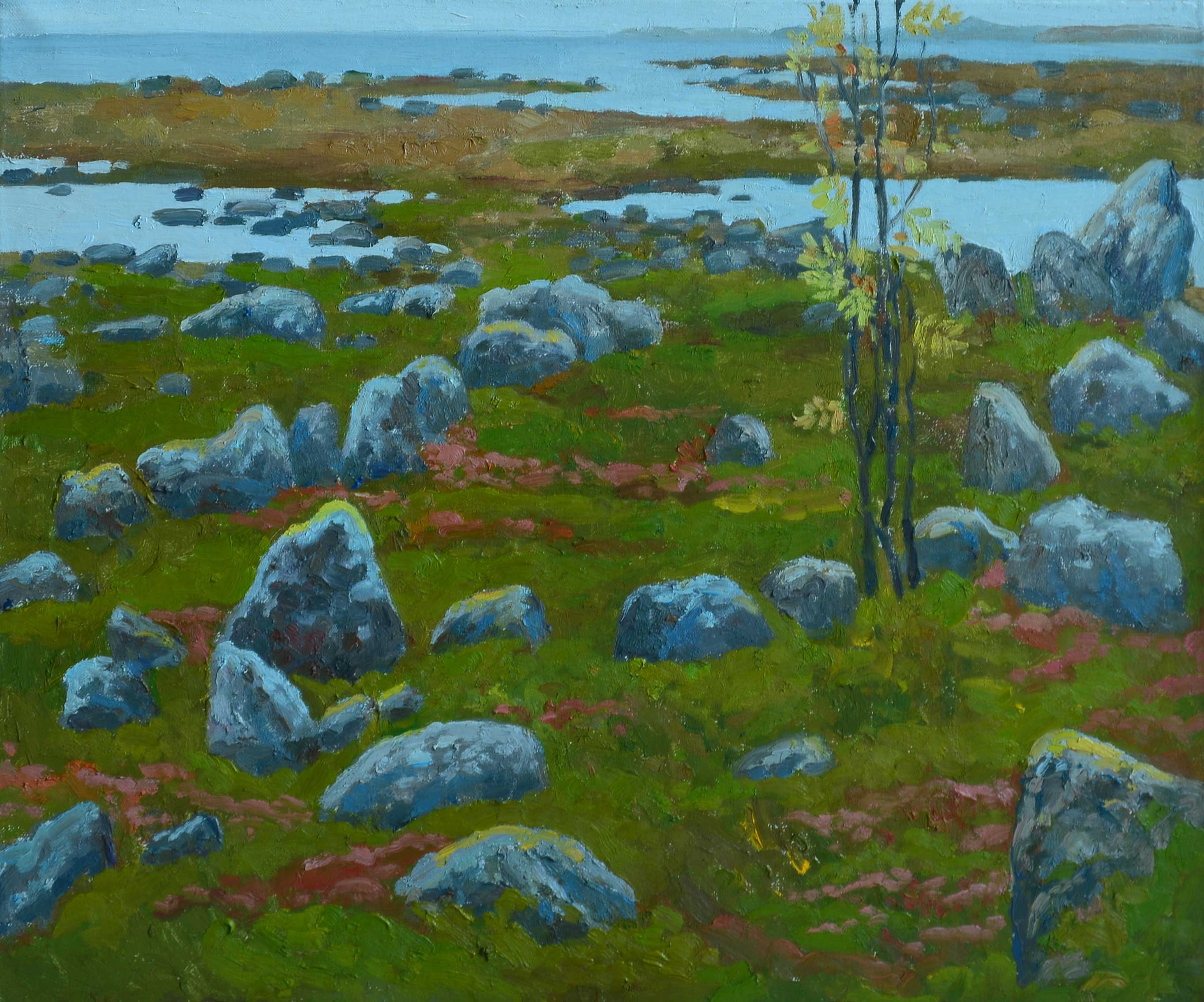 Tundra. Bolshaya Muksalma - 1, Anastasia Nesterova, Buy the painting Oil