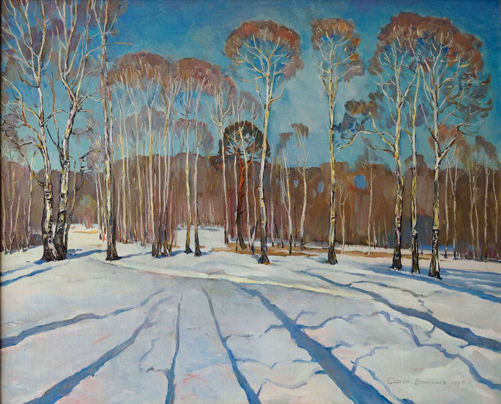 Birch Forest, Sergei Volochaev, Buy the painting Oil