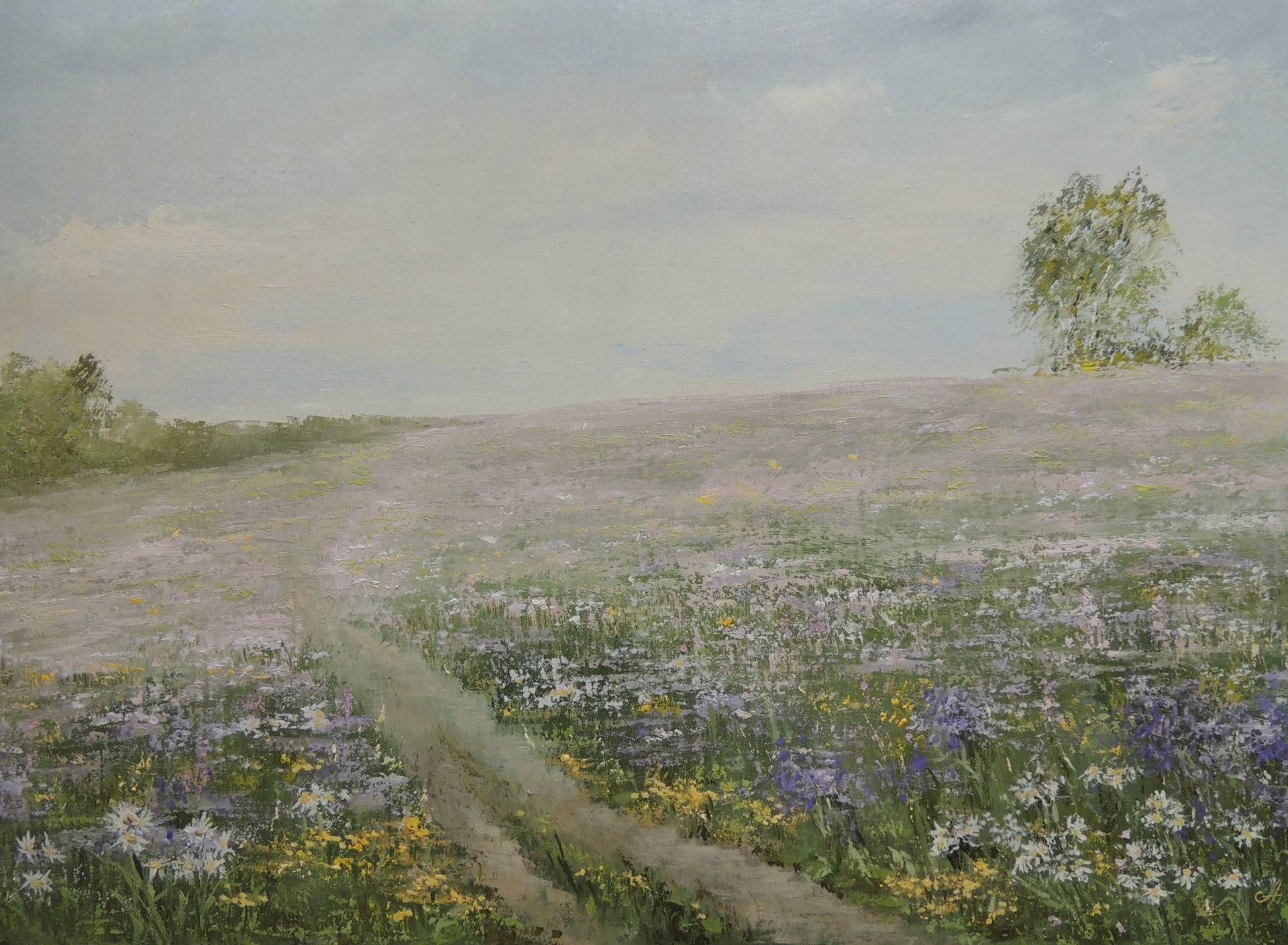  - 1, , Buy the painting Oil
