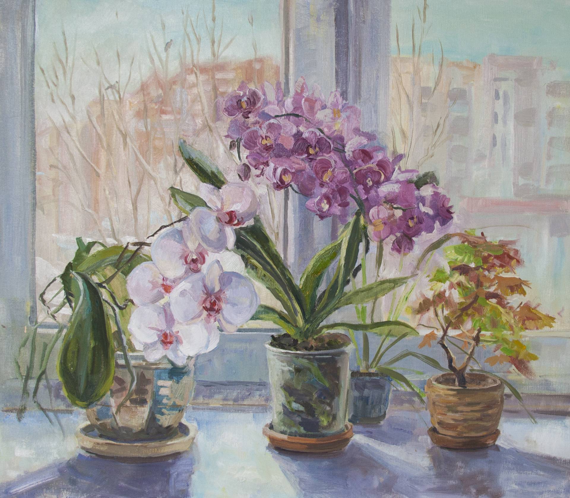  - 1, , Buy the painting Oil