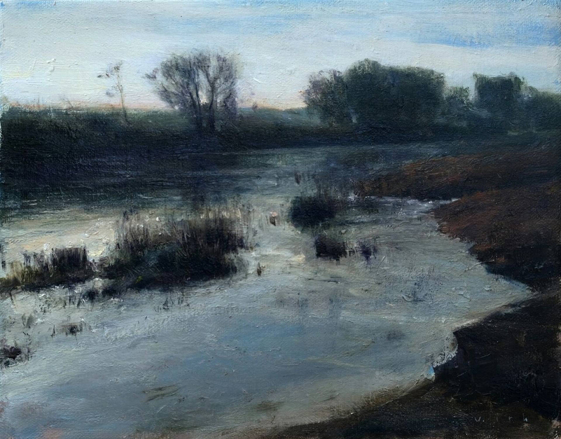 Shore - 1, Vladimir Kirillov, Buy the painting Oil