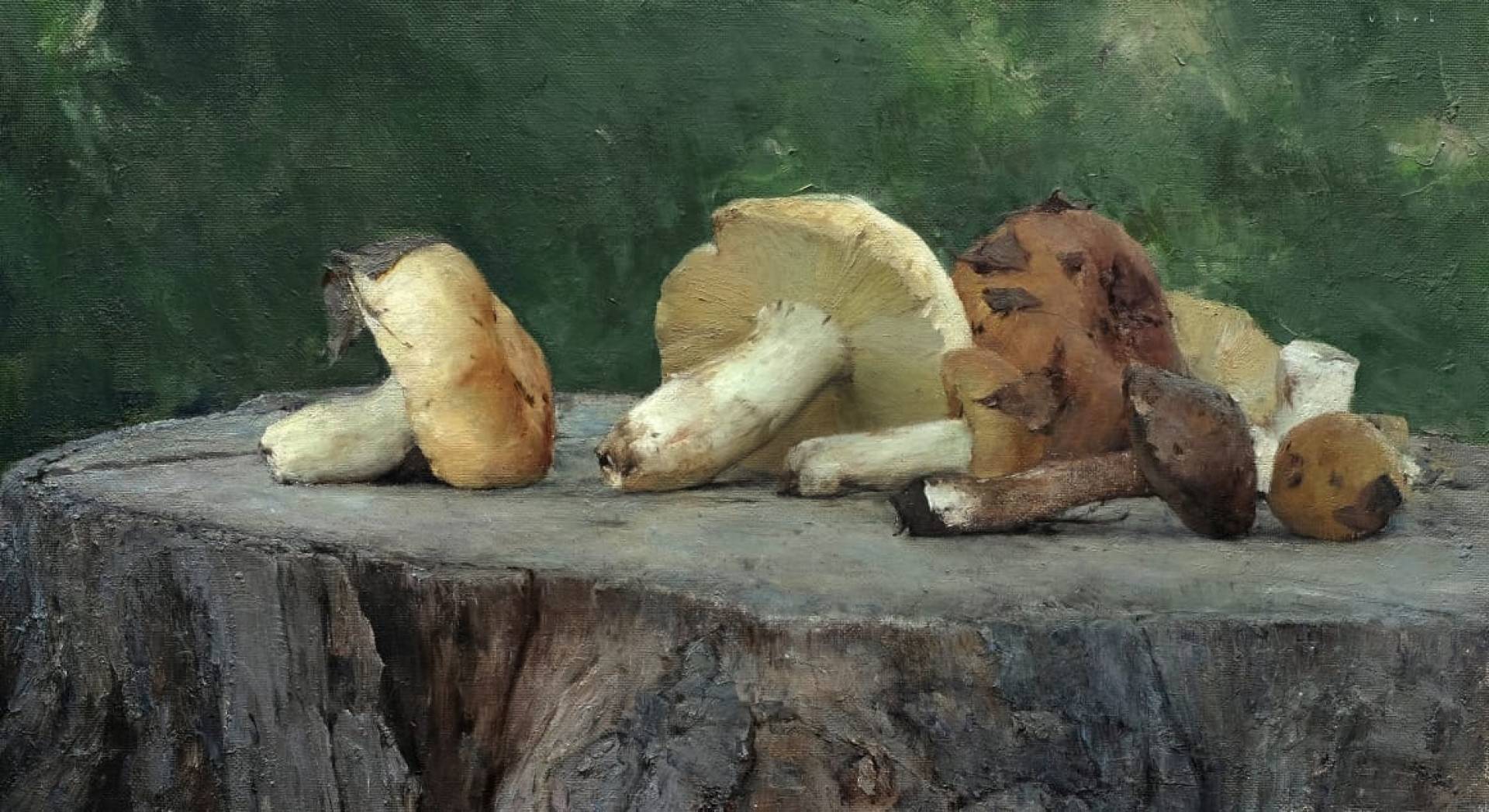 Mushrooms, Vladimir Kirillov, Buy the painting Oil