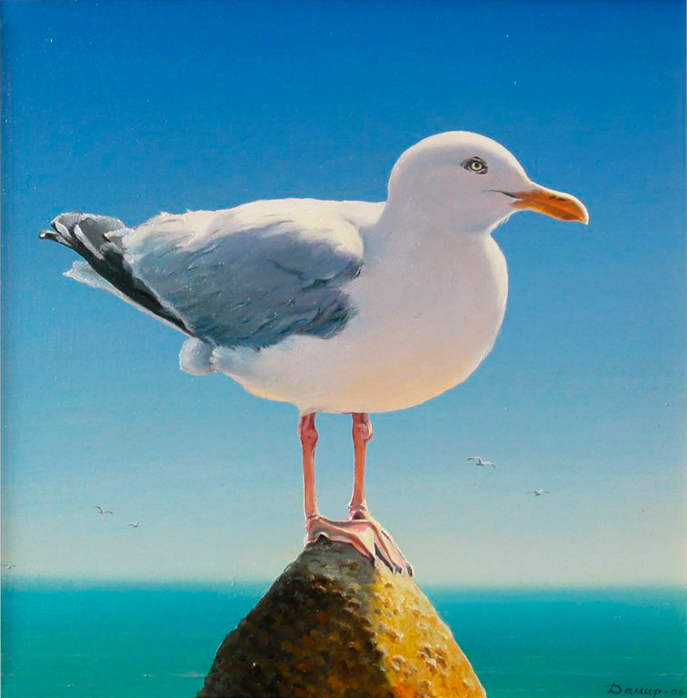 Gull, Damir Krivenko, Buy the painting Oil