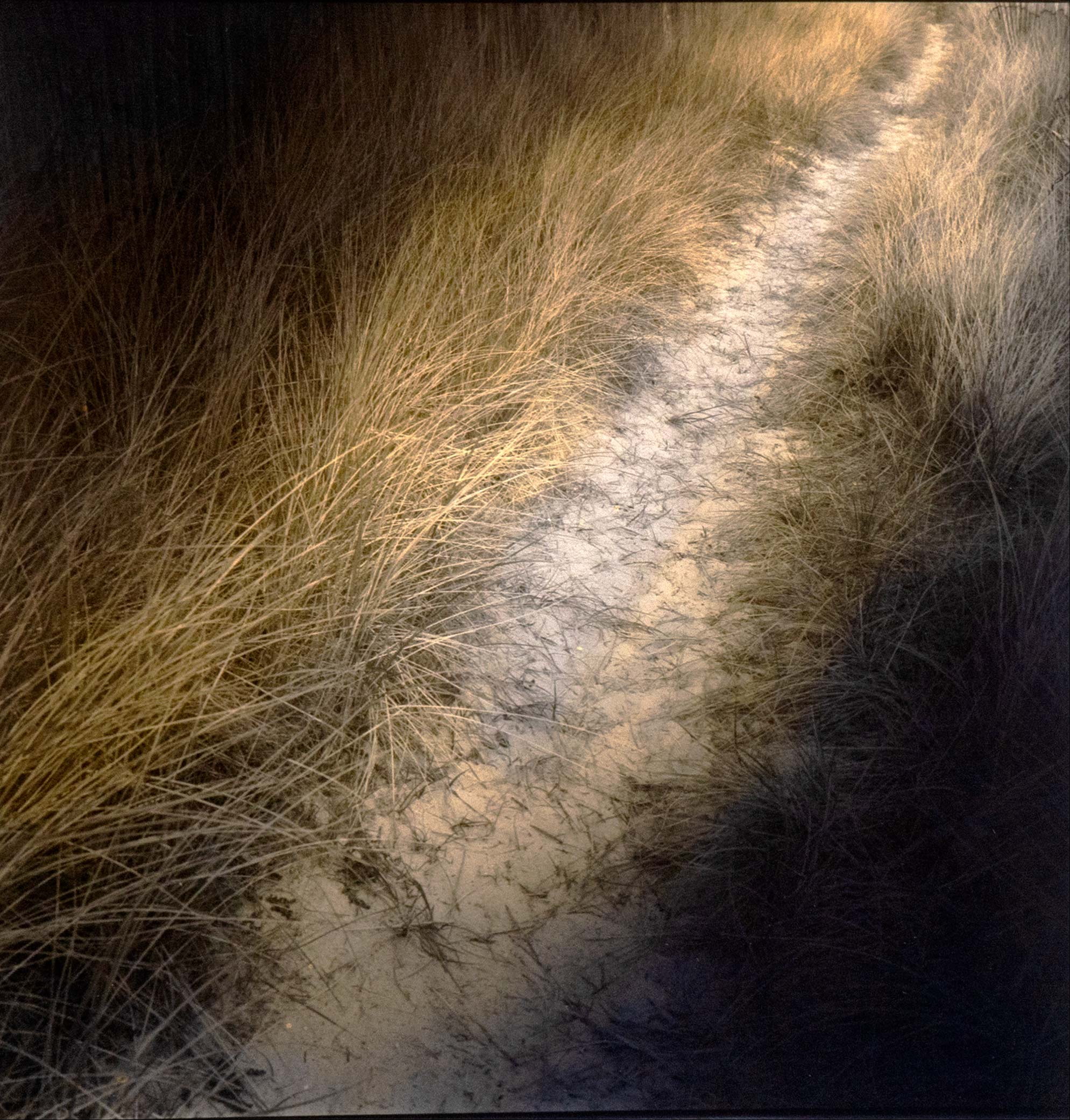 From "Portrait of a stream or drowned time" series #5 - 1, Denis Fontanov, Buy the painting Author's technique