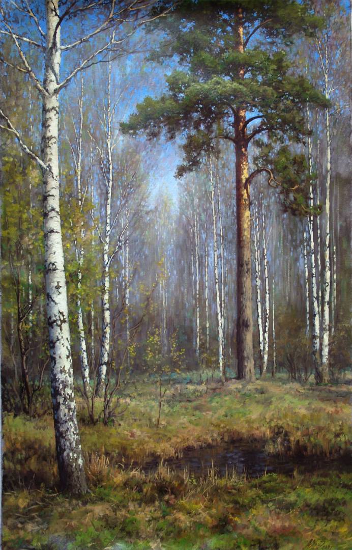 Spring Forest, Vadim Zainullin, Buy the painting Oil