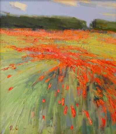 Provence. Poppies