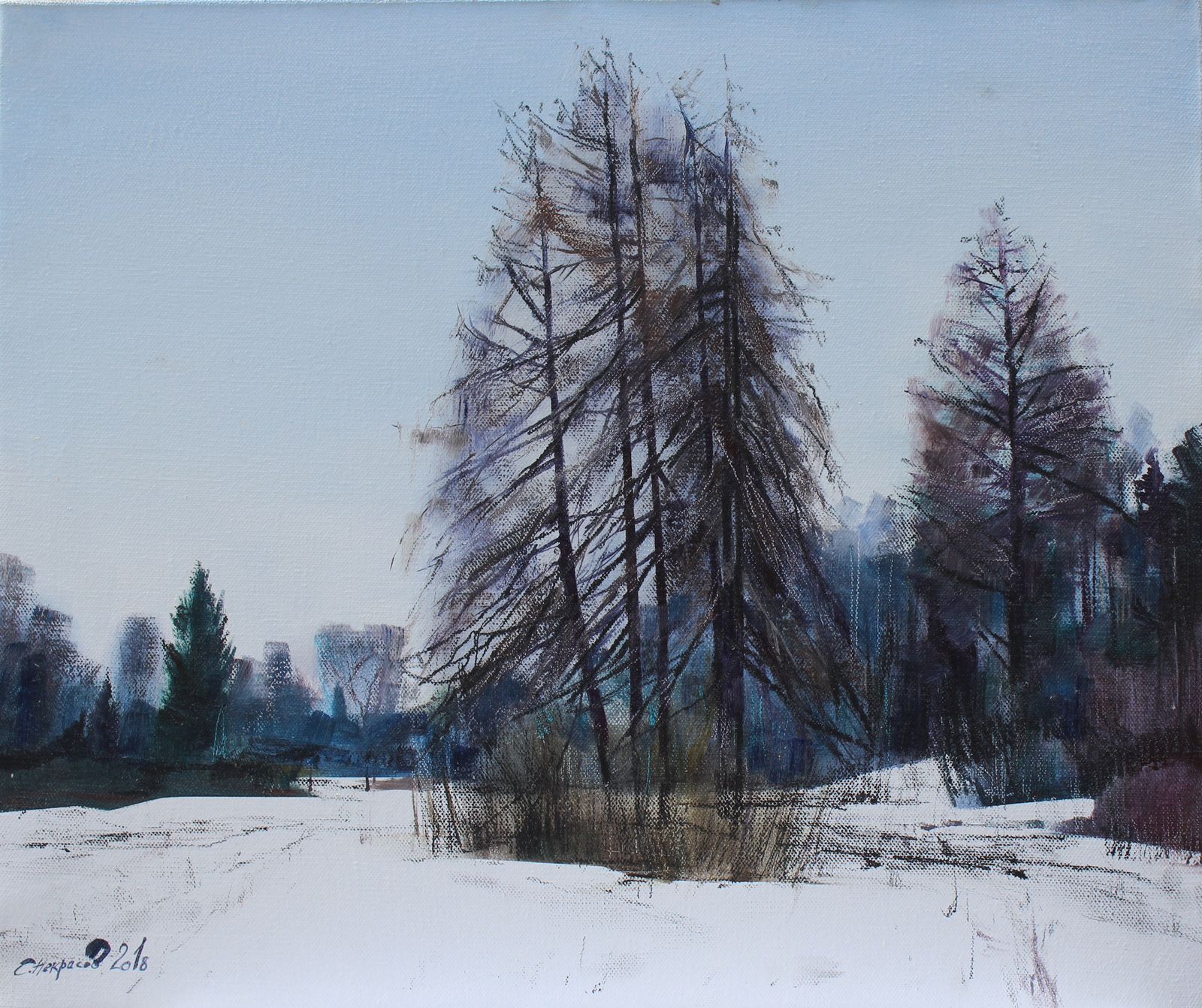 Pavlovsk. Spruce Trees - 1, Sergey Nekrasov, Buy the painting Oil