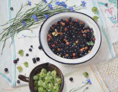 Gooseberries and Blackcurrants