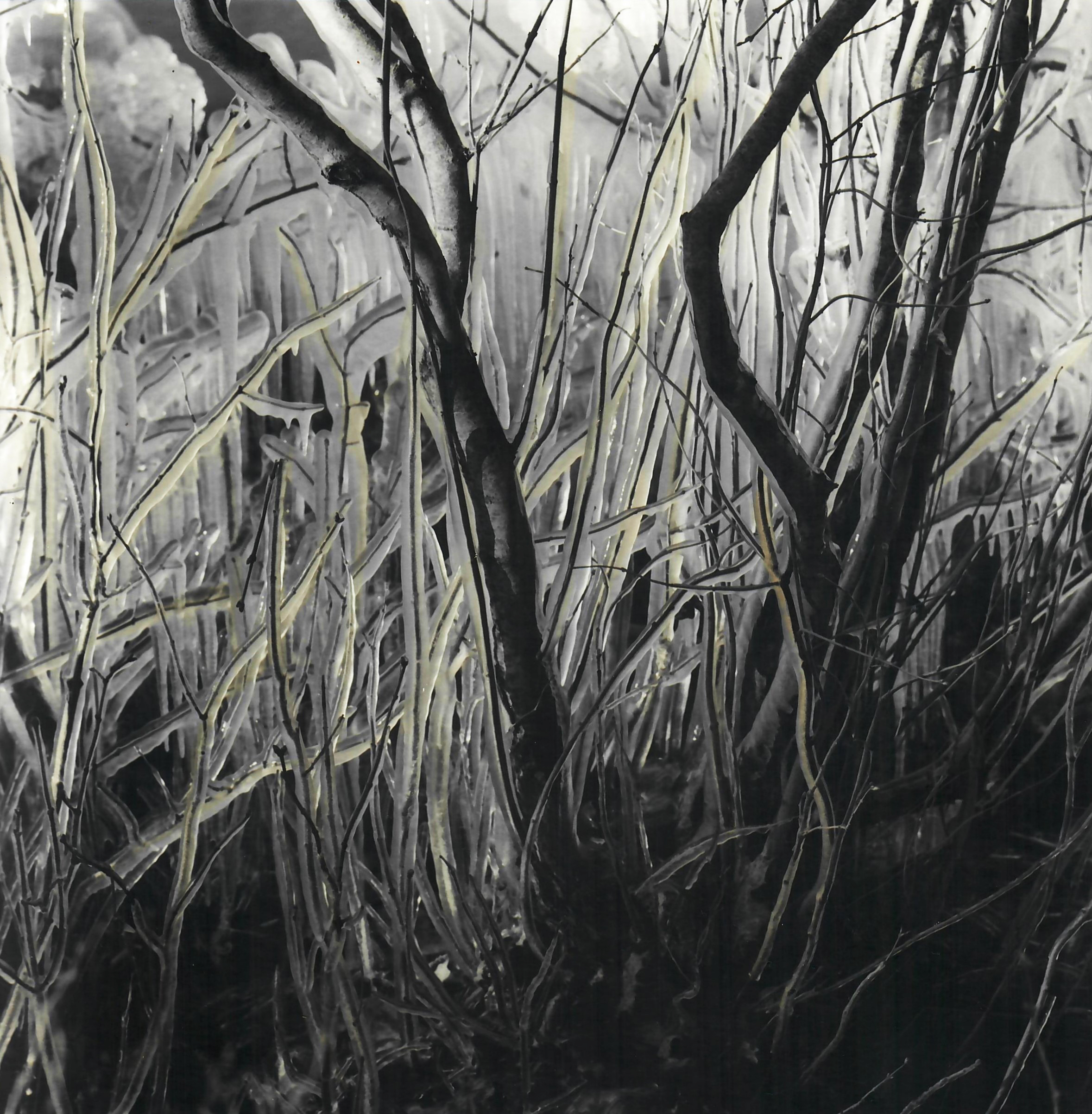 Landscape #1 - 1, Denis Fontanov, Buy the painting Author's technique