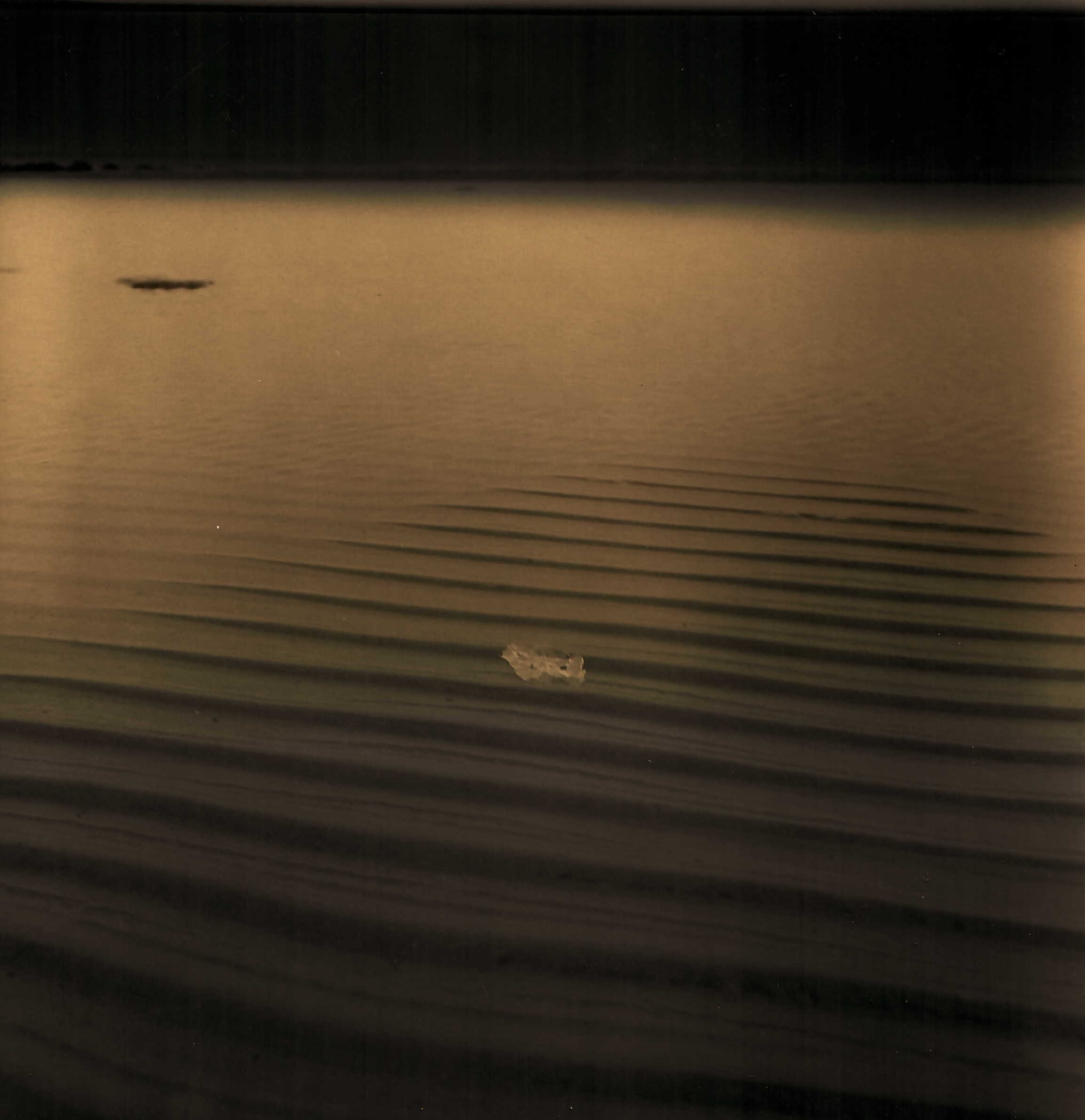 Landscape #2 - 1, Denis Fontanov, Buy the painting Author's technique