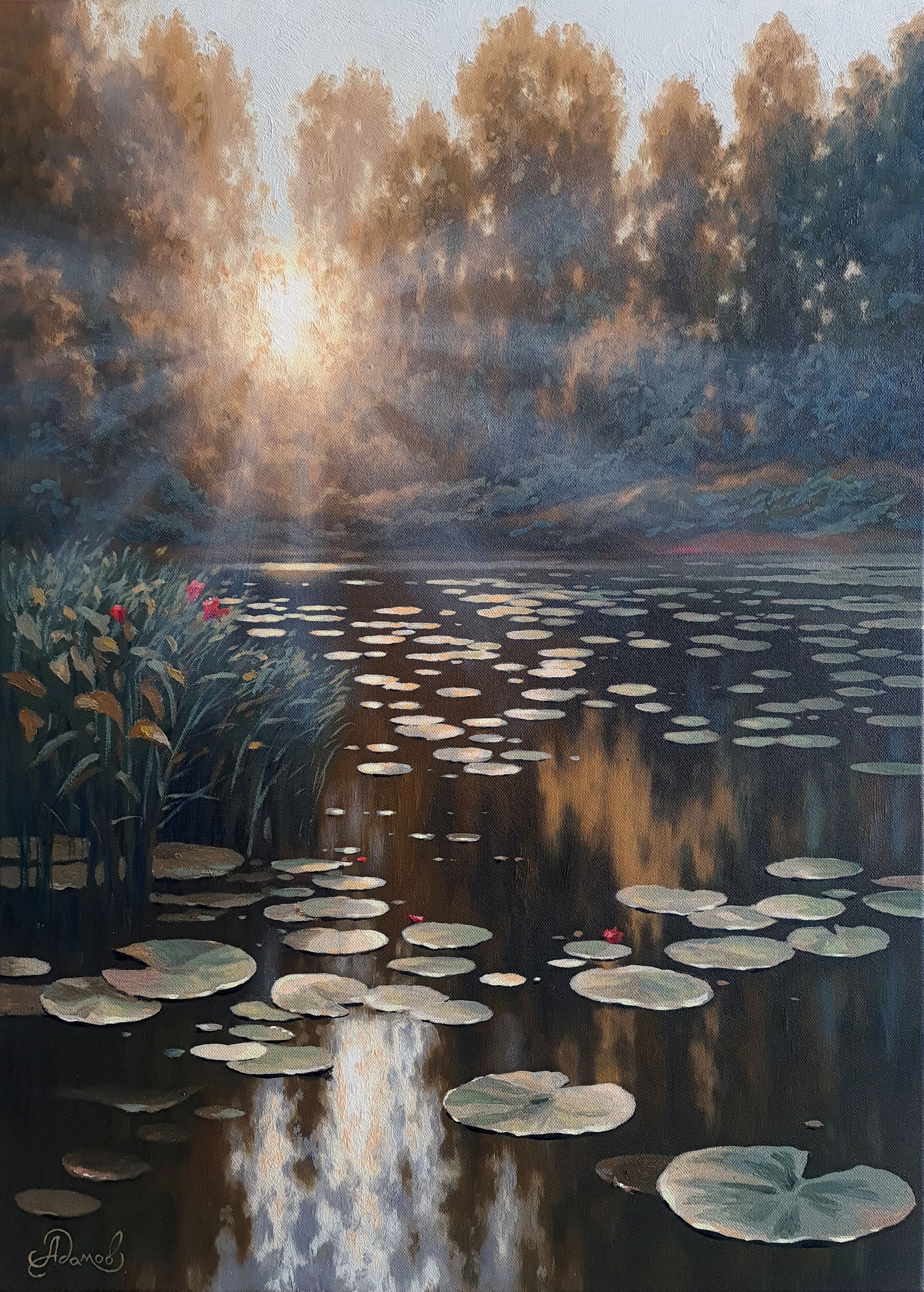 Morning with water lilies - 1, Alexey Adamov, Buy the painting Oil