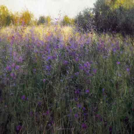 Summer day