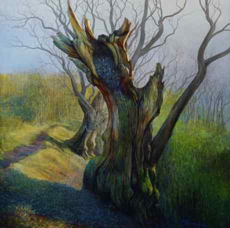 Music of the forest