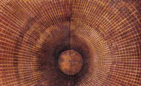 Fossil Wave or Attraction of the Void (diptych)