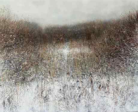 Landscape 454
