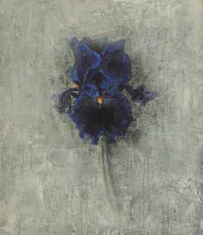 Blue Iris