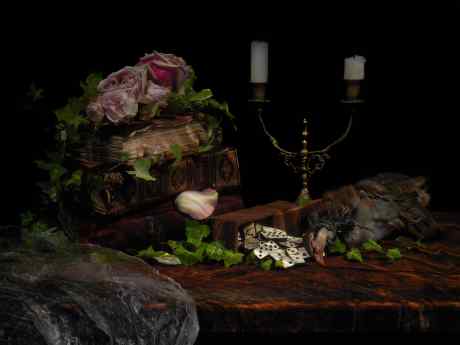 Underwater Still Life with Books. From the Series "Vanitas."