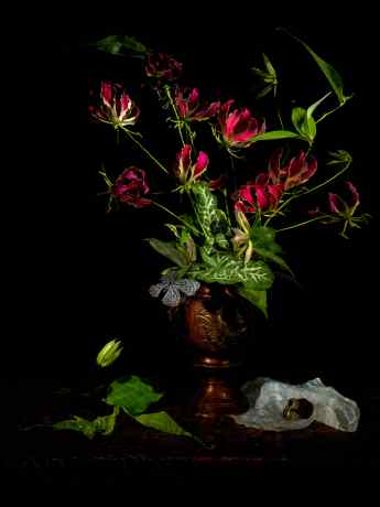 Underwater Still Life "Morning by Gloriosa." From the Series "Vanitas."