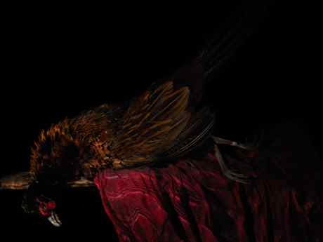 Underwater Still Life "Prosperity." From the Series "Vanitas."