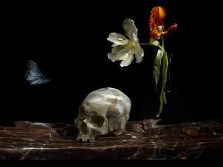 Underwater Still Life with a Skull. From the Series "Vanitas."