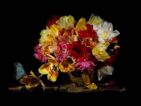 Underwater Still Life with Tulips. From the Series "Vanitas."