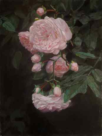 Roses at Dusk