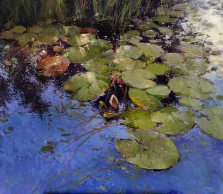 Water lilies