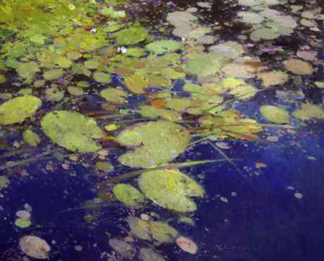 Water lilies