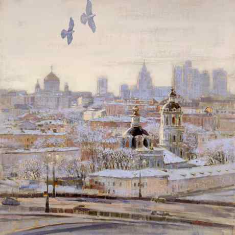 Peregrine falcons over Moscow