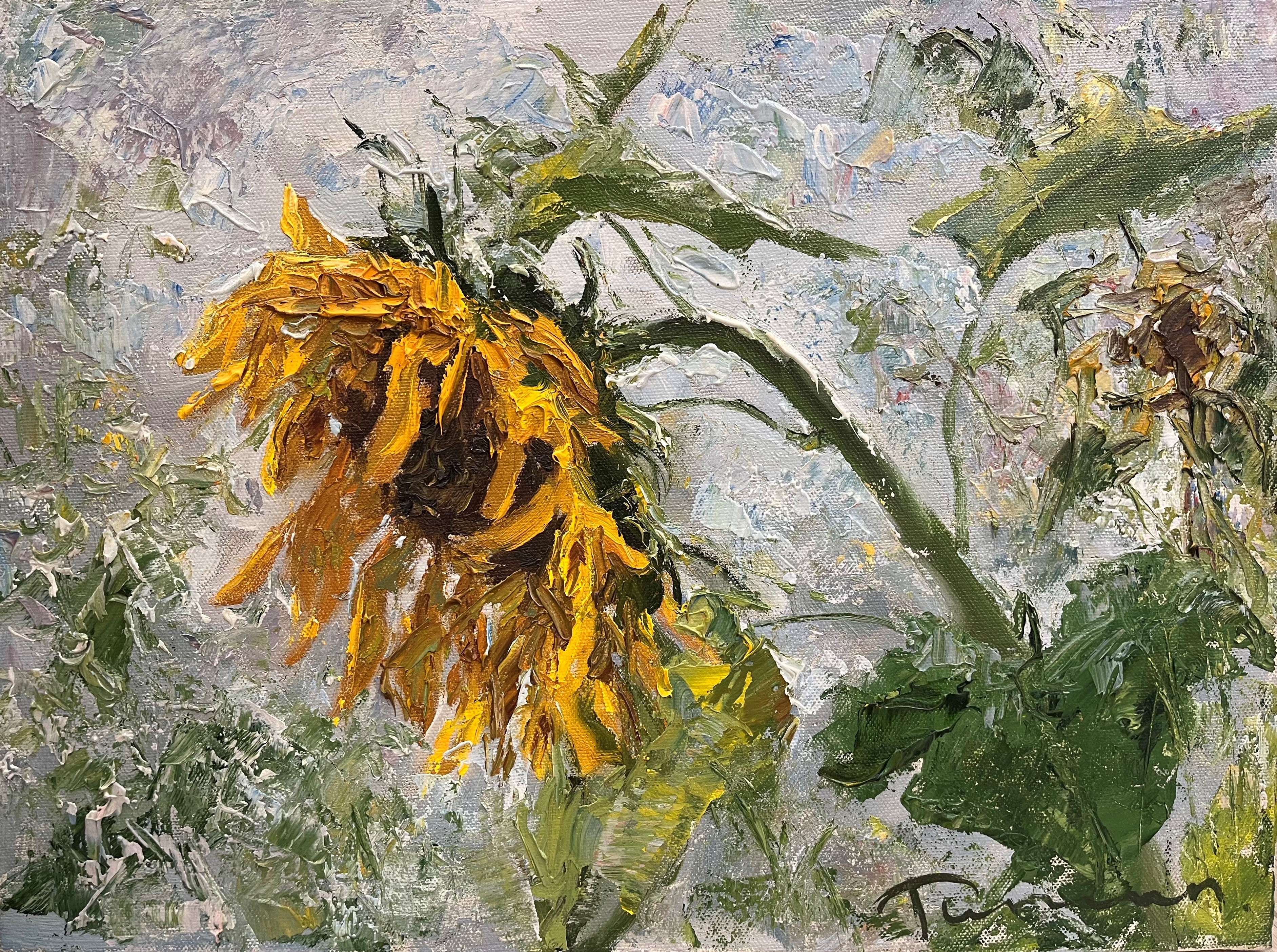 Sunflower I - 1, Tuman Zhumabaev, Buy the painting Oil