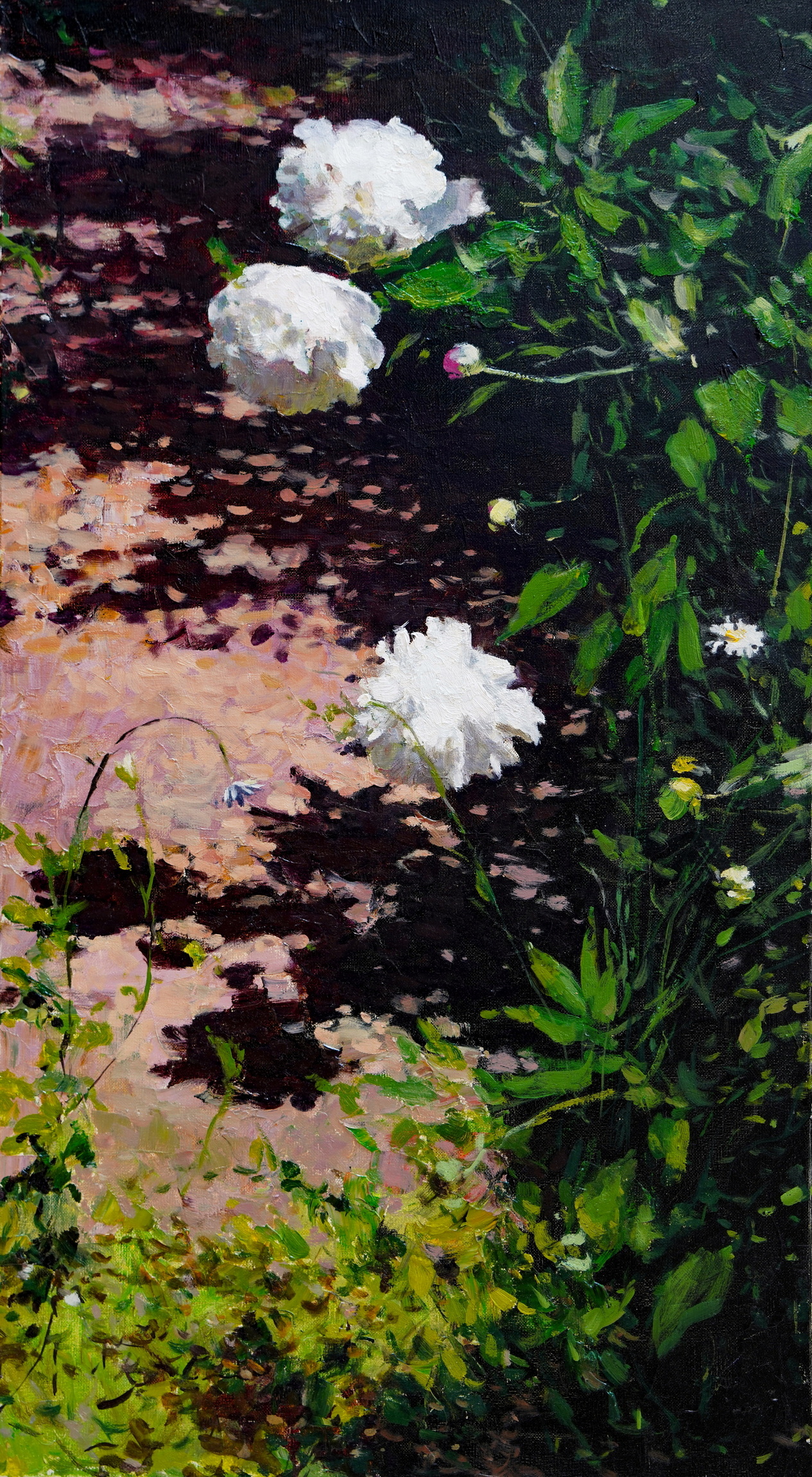 Country Peonies - 1, Sergei Prokhorov, Buy the painting Oil