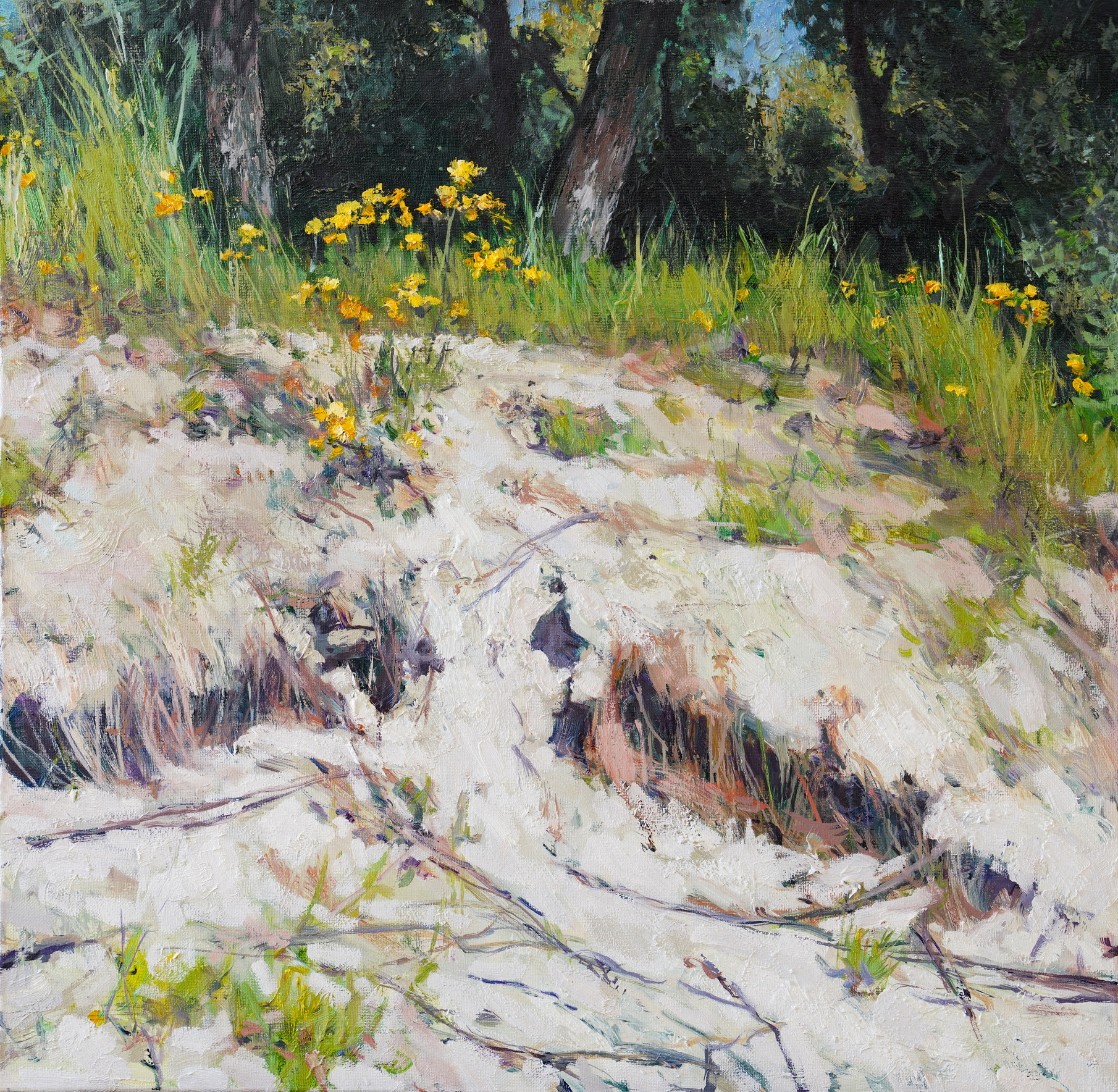 Little Shore - 1, Sergei Prokhorov, Buy the painting Oil