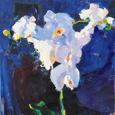 Orchid