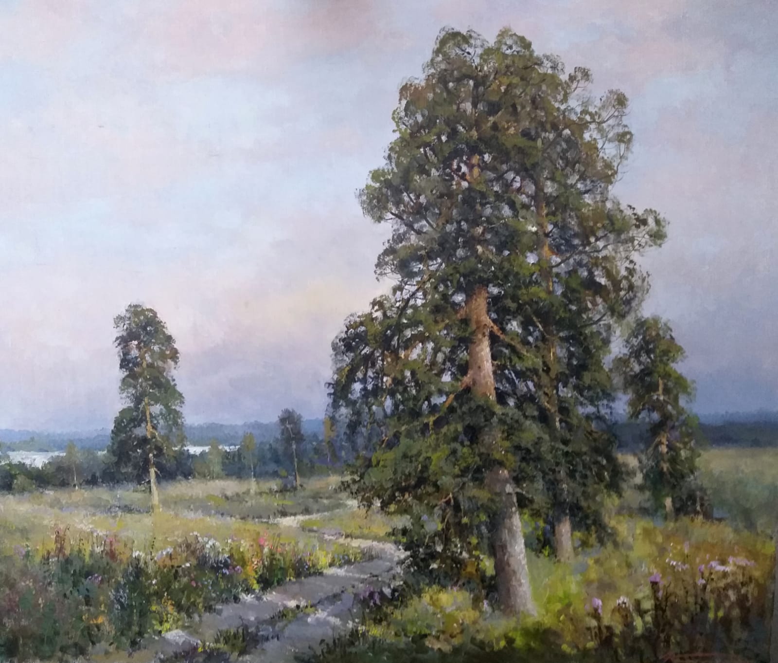 The Old Pine Tree - 1, Alexander Kremer, Buy the painting Oil