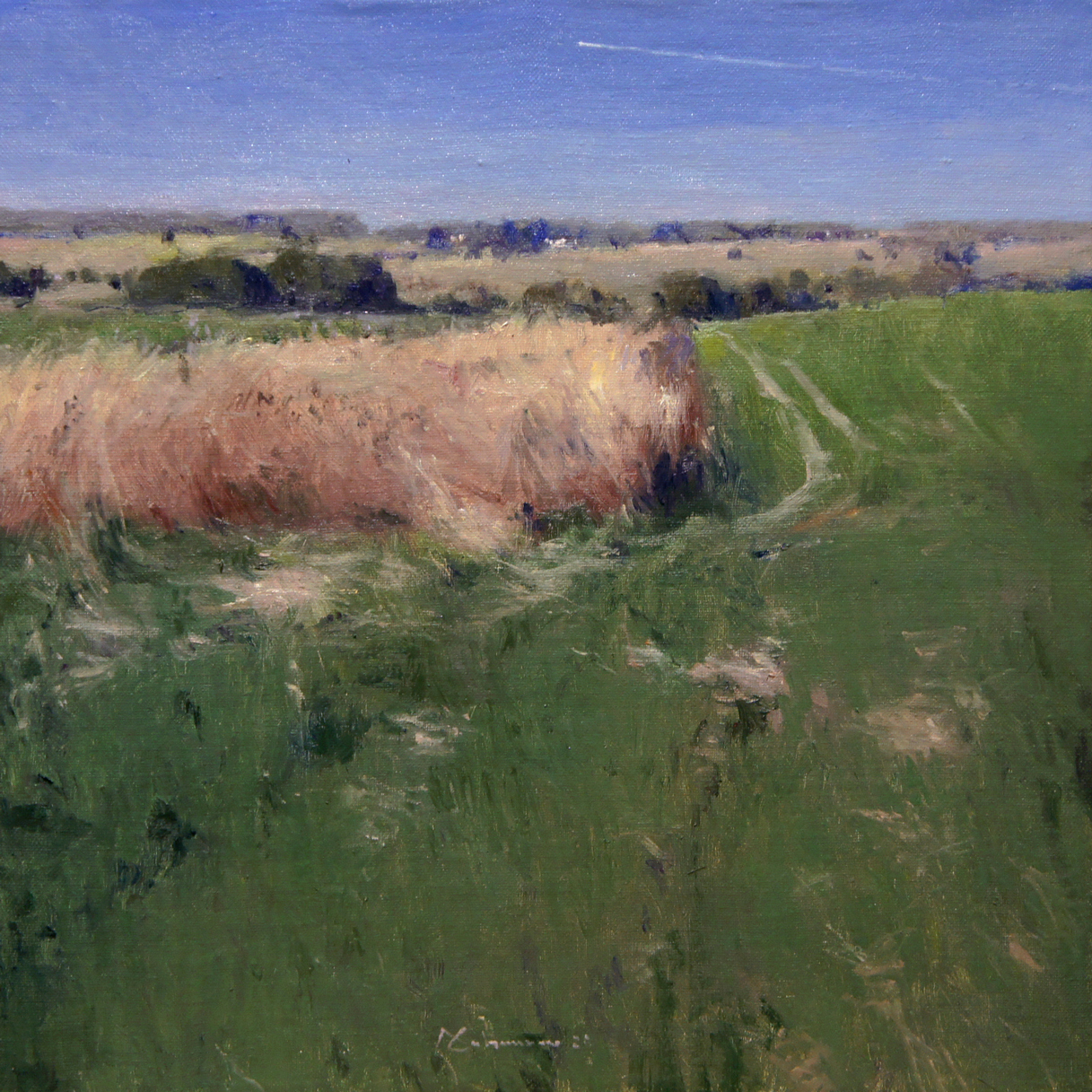 The airplane - 1, Alexey Savchenko, Buy the painting Oil