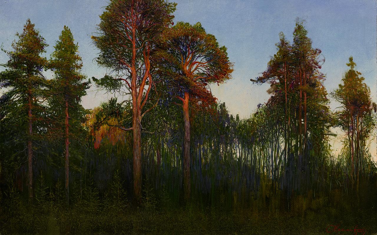 Pine Trees at Sunset - 1, Andrey Mamaev, Buy the painting Oil