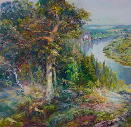 The Beauty of the Forest