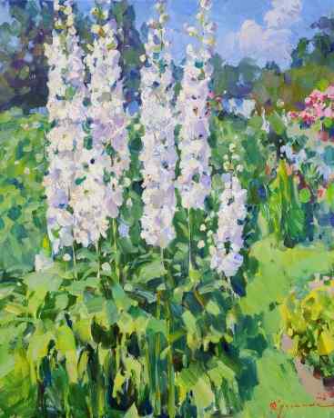 White delphiniums