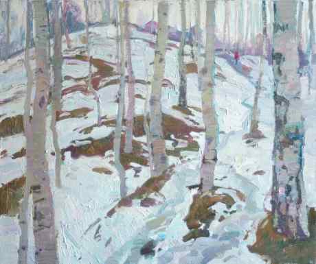 Birches in Pargolovo