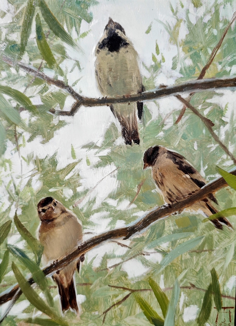 From a high - 1, Anastasia S. Tessina, Buy the painting Oil