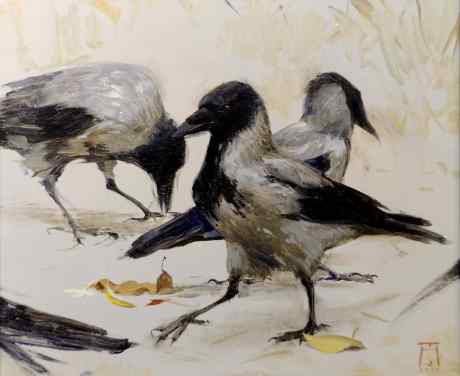 Searches and intrigues. The Crows