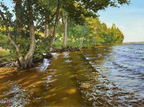 The shoal. Lake Gorovaldayskoye