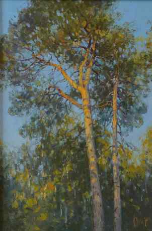 Illuminated by the Sun