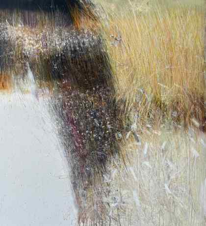 Untitled 456
