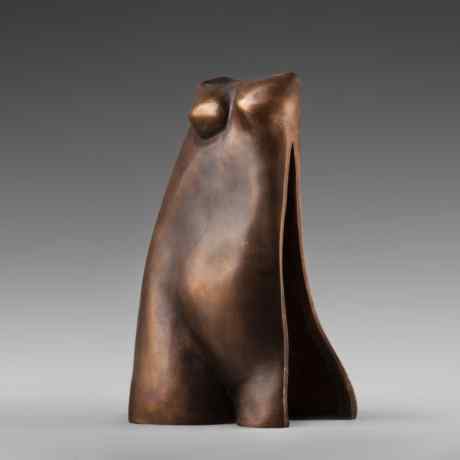Torso