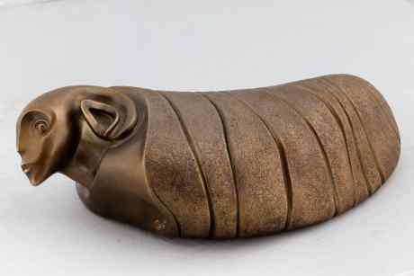 Pupa